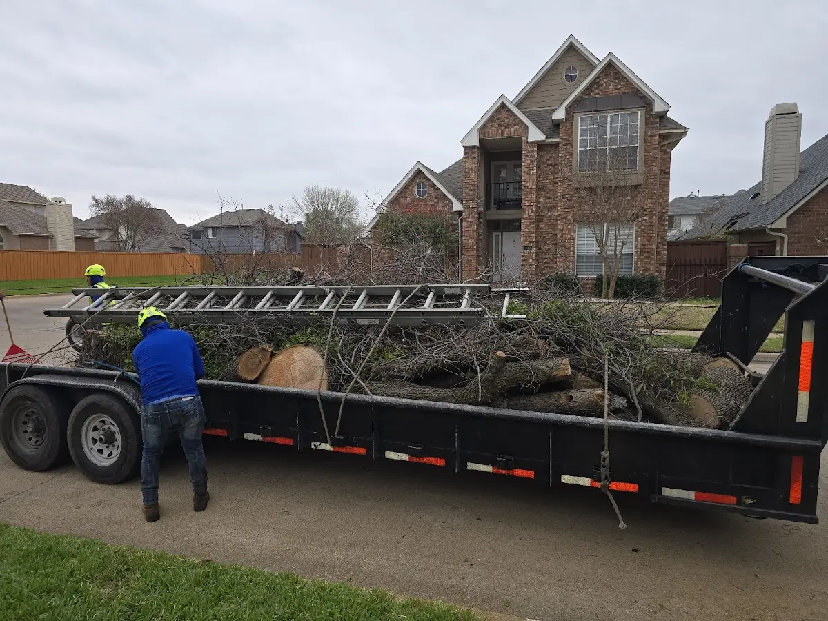 Expert Tree Removal with proper safety equipment in Metz